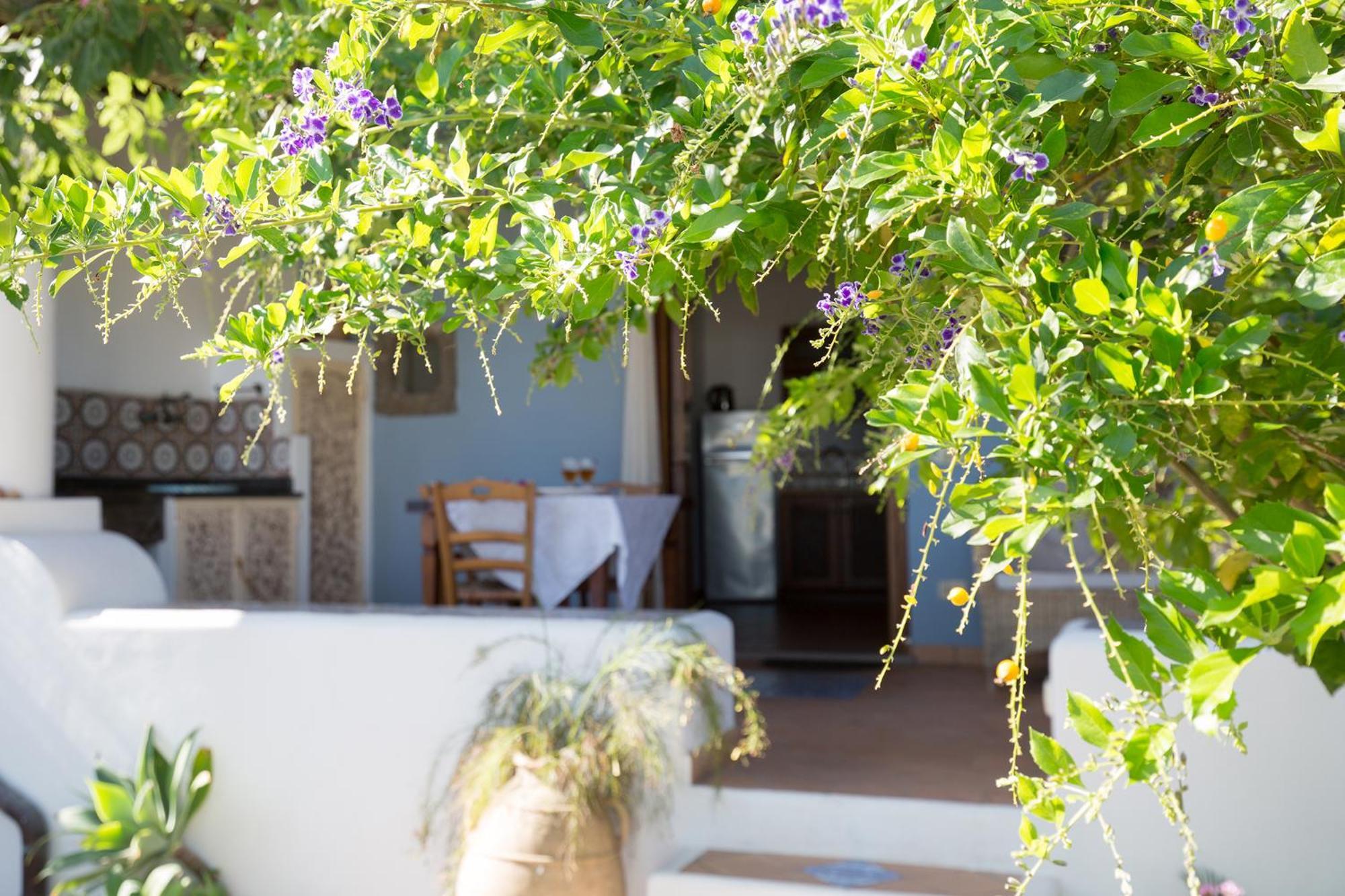 Villa Agrumeto Lipari  Eksteriør bilde